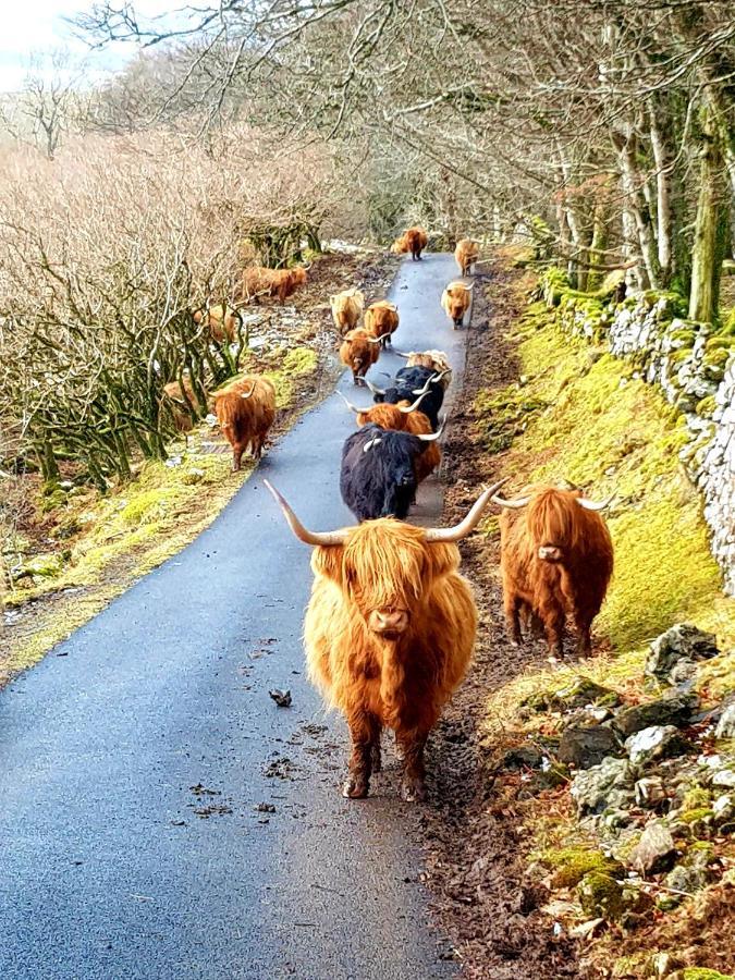 Kirk Cottage Tobermory Buitenkant foto